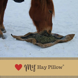 Mare eating from Standard Hay Pillow ground slow feed hay bag