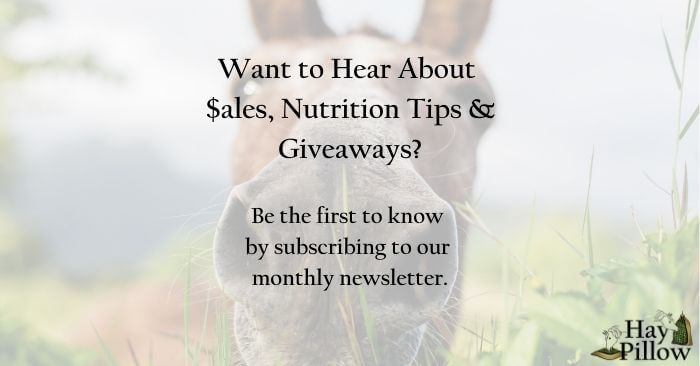 Subscribe to the Hay Pillow Newsletter to find out about sales and get equine health and nutrition tips.