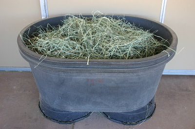 Loose grass hay shaken out in a large raised tub.