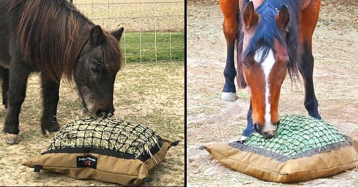 Two horses eating from slow feed Hay Pillows on the ground.