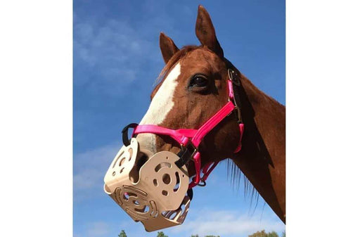 Nose It Horse Treat Ball & Toy Dispenses Grain, Pellets & More — Hay Pillow®