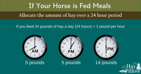 If you feed your horse meals, allocate the amount of hay over a 24 hour period.