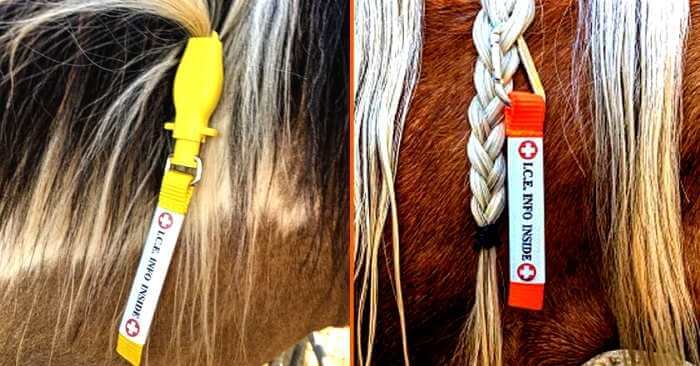 Equine ManeStay and Ultralite Emergency ID Tags on a horse's mane