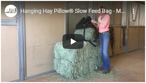 Hanging Hay Pillow Video - Easy Fill thumbnail