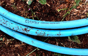 drinking water safe hose for horse water troughs horsekeeping tip