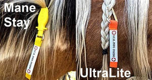 Equine emergency ID tags