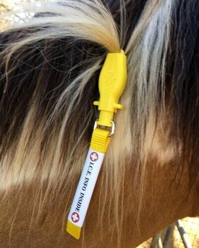 ManeStay Equine Emergency ID tag horse keeping tip