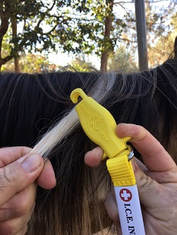 Manestay Emergency ID Tag being attached to a horses mane