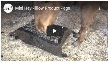 Mini Hay Pillow Video - How it Works thumbnail