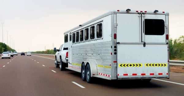 Horse trailer hauling horses, don't transport horses on an empty stomach