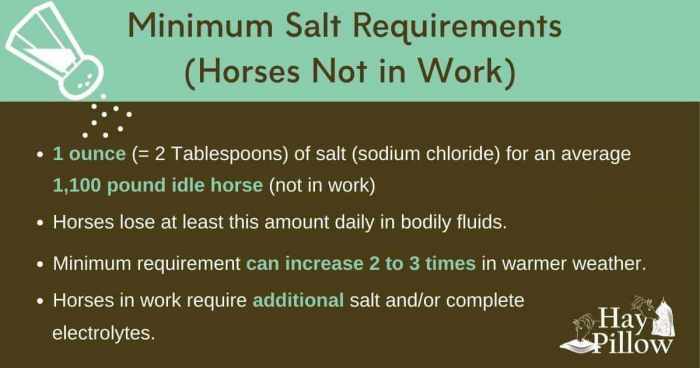 Minimum sodium requirements for an idle horse.