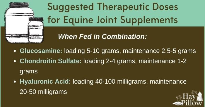 Suggested therapeutic doses for equine joint supplements