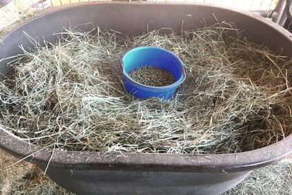 5 lbs of grass hay vs. 5 lbs of pellets by volume.