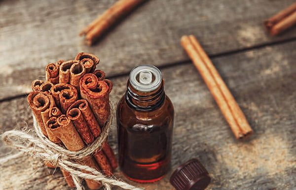 CINNAMON ESSENTIAL OIL