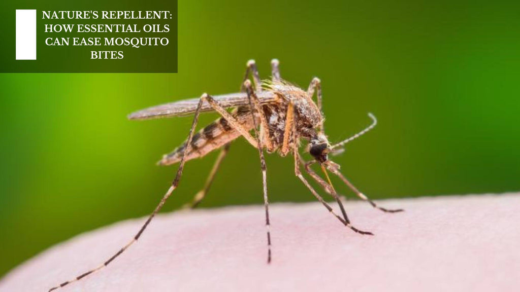 NATURE'S REPELLENT: HOW ESSENTIAL OILS CAN EASE MOSQUITO BITES