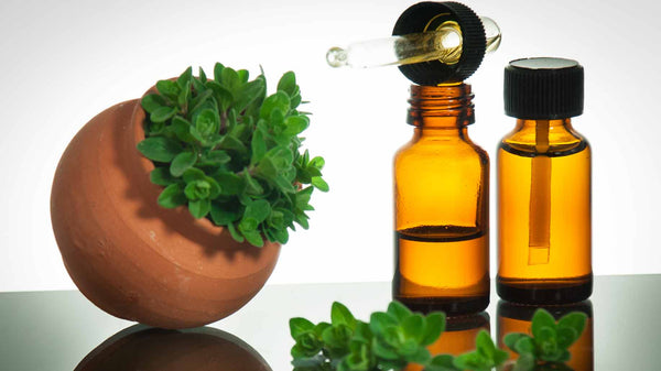 OREGANO ESSENTIAL OIL