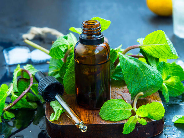 PEPPERMINT ESSENTIAL OIL