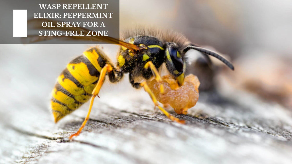 WASP REPELLENT ELIXIR: PEPPERMINT OIL SPRAY FOR A STING-FREE ZONE