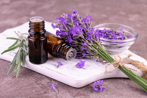 HOW TO USE LAVENDER OIL TO GET RID OF ROACHES?