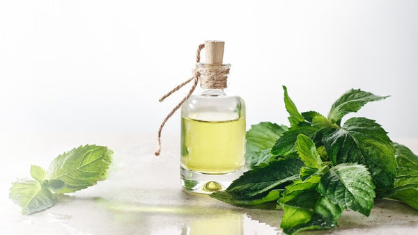 BENEFITS OF PEPPERMINT OIL FOR REDUCING GASTRITIS