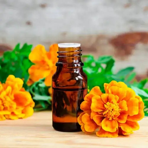 HOW IS TAGETES ESSENTIAL OIL EXTRACTED?