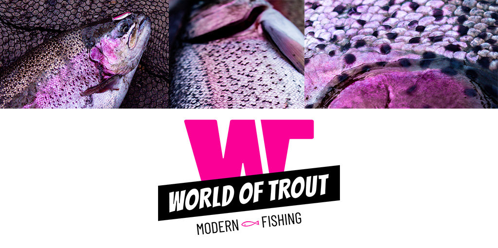 Regenbogenforelle und WORLD OF TROUT Logo in TROUT Pink