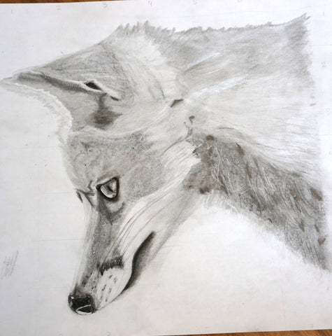 Dibujo de un zorro.