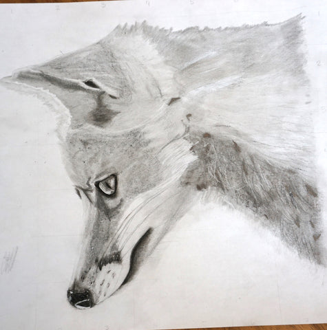 Dessin d'un renard.