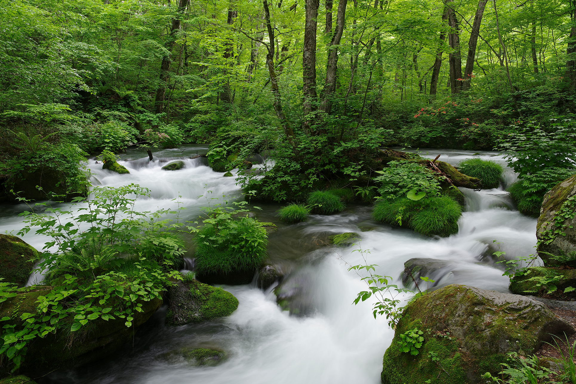 Nature Image wild river taken by Pentax lens DA 16-50 mm