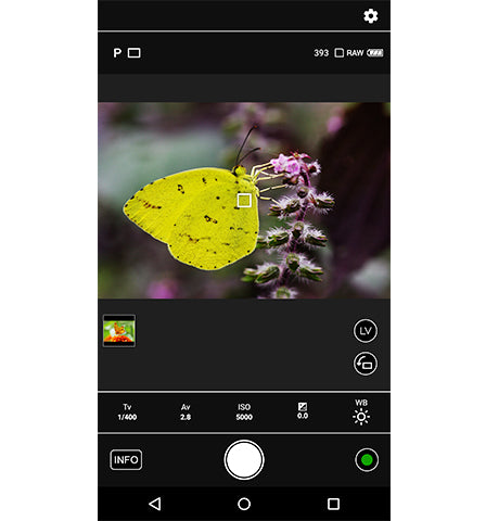 Image Sync application for Pentax KF DSLR camera