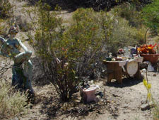 Fairy altar