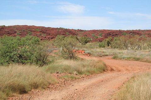 barren red rocks, scrub and spinifex plants along a red dirt road