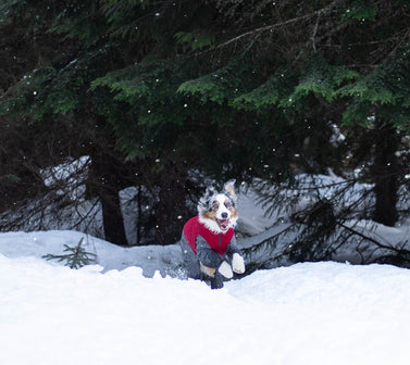 How To: Winter Trail Running