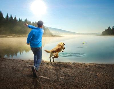 One Dog's List of What to  Bring to the Beach