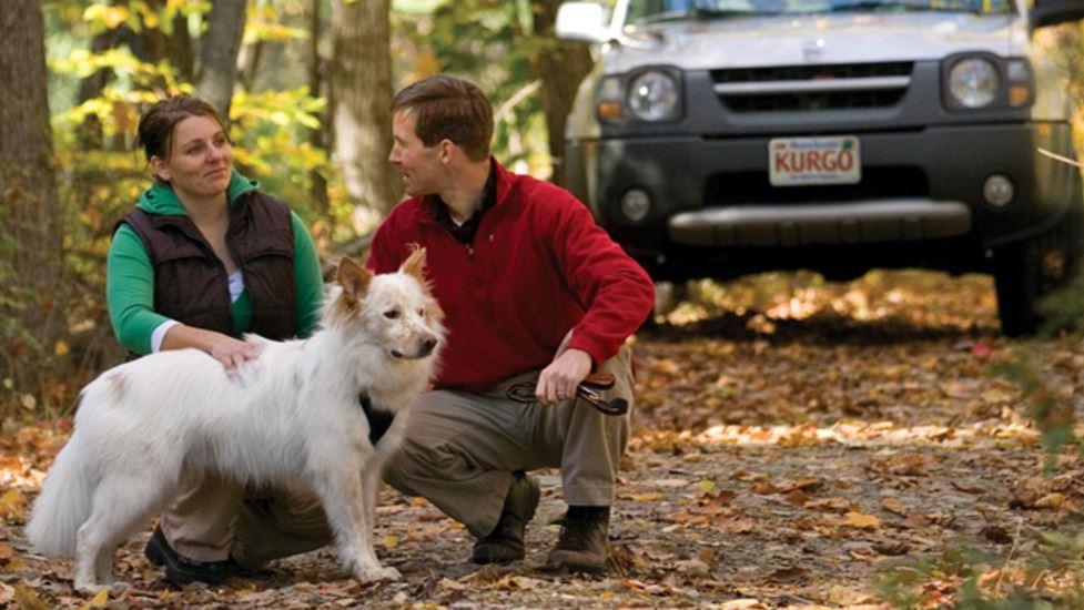 Tackling Your Dog's Car Anxiety