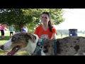 Kurgo Running Team: Kristen and Scout (VIDEO)