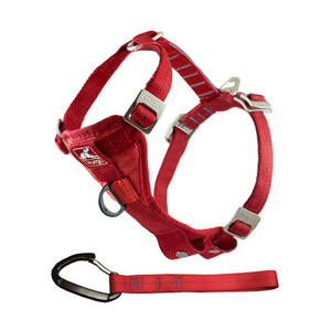 Enhanced Strength Tru-Fit Dog Car Harness