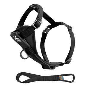 Tru-Fit Smart Dog Walking Harness