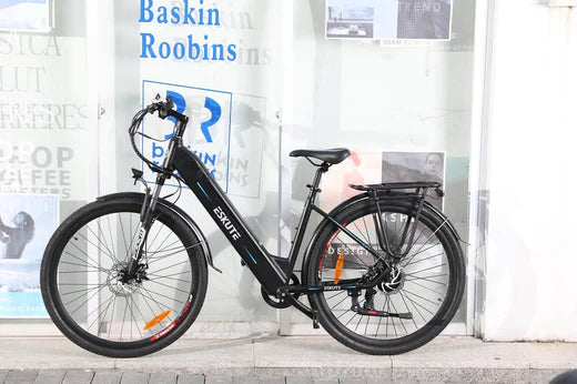 Verminderen Wirwar Onrustig Hoe onderhoudt u de ketting van een elektrische fiets? – Eskute Bikes NL