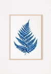 blue fern watercolour poster in a frame