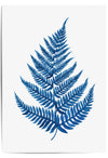blue fern poster