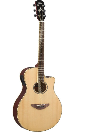 gitar akustik apx 600