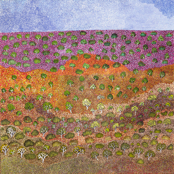 Landscape of Epenarra, Susie Peterson