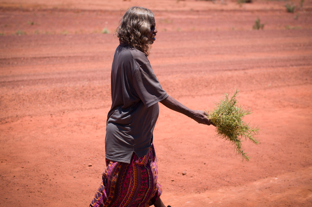 Marlene Philomac collecting bush medicine