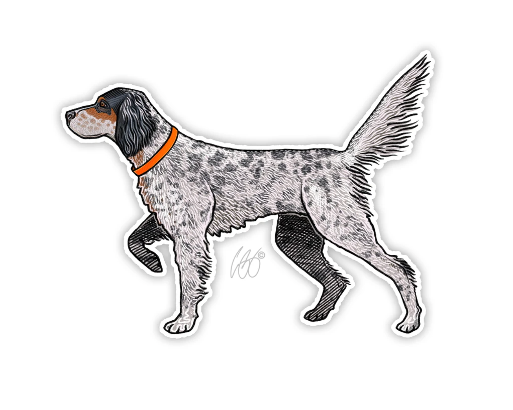 English Setter Decal Sticker | Bird Dog of the Day