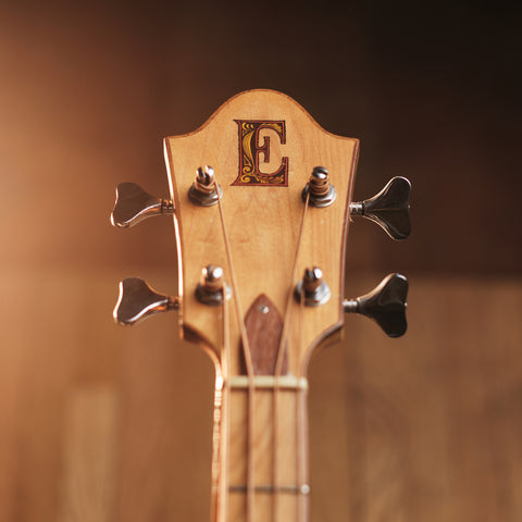Ernie Ball Earthwood Bass