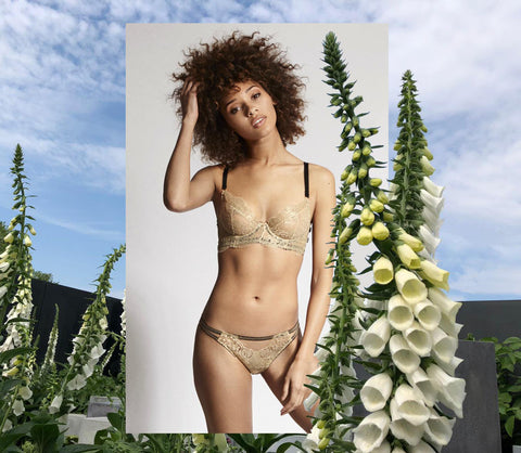 Chelsea Flower Show 2018 + Edge o' Beyond Ahlan Gold Lingerie Set