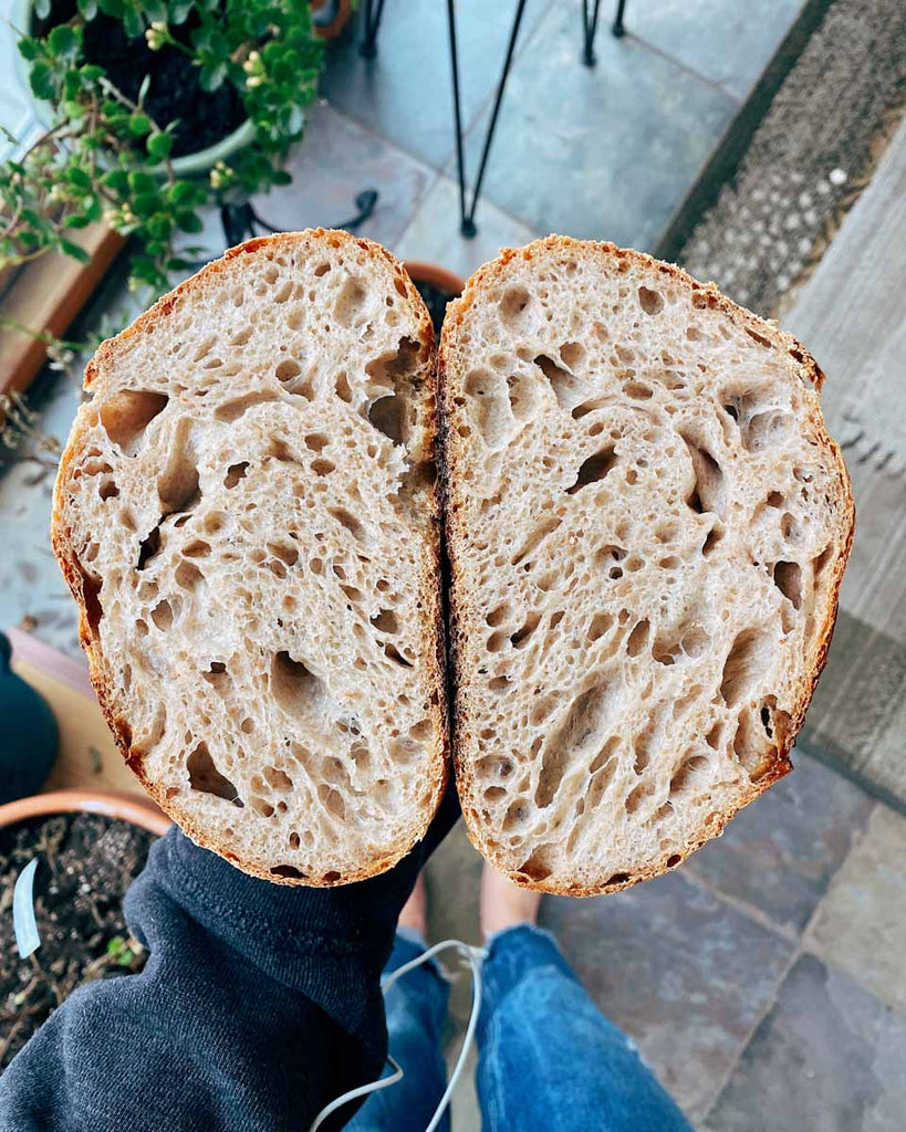 Sourdough Beginner Bread Open Crumb