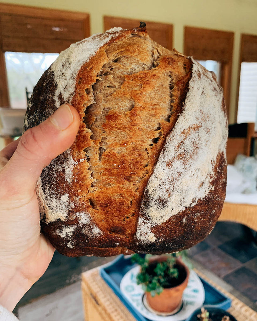Sourdough Bread Crust