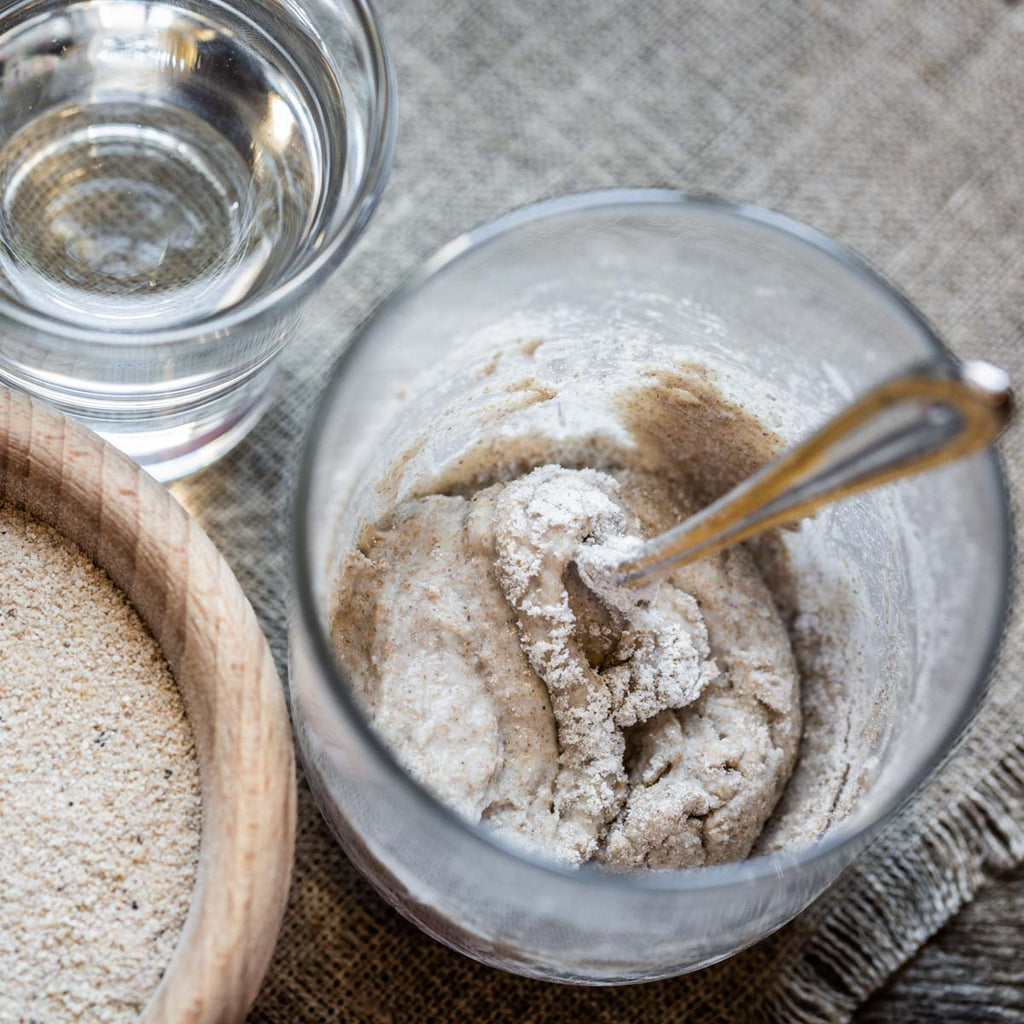 Sourdough starter